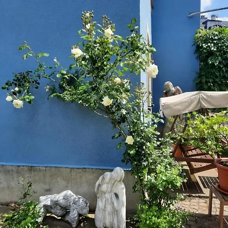 Kunstoase Am Blauen Haus * Dresden