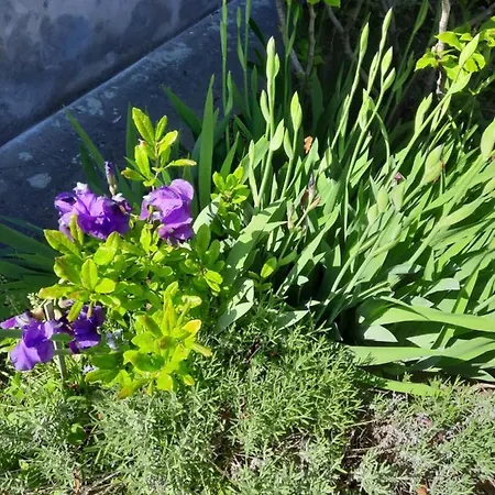 Kunstoase Am Blauen Haus Lejlighed