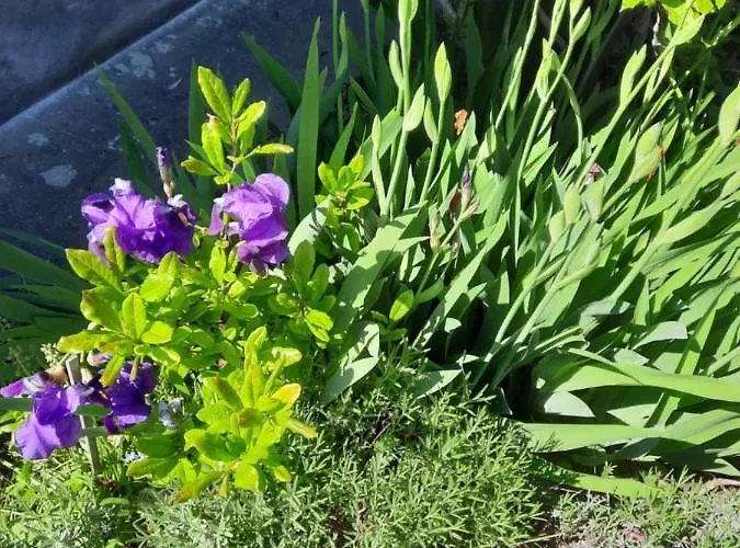 Kunstoase Am Blauen Haus Lejlighed