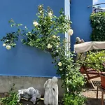 Kunstoase Am Blauen Haus * Dresde